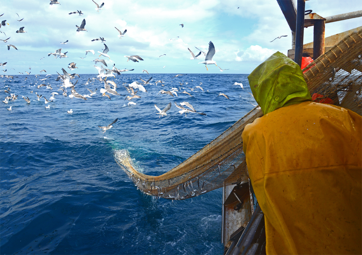 Image for Les entreprises du secteur pêche sont en recherche d’apprentis