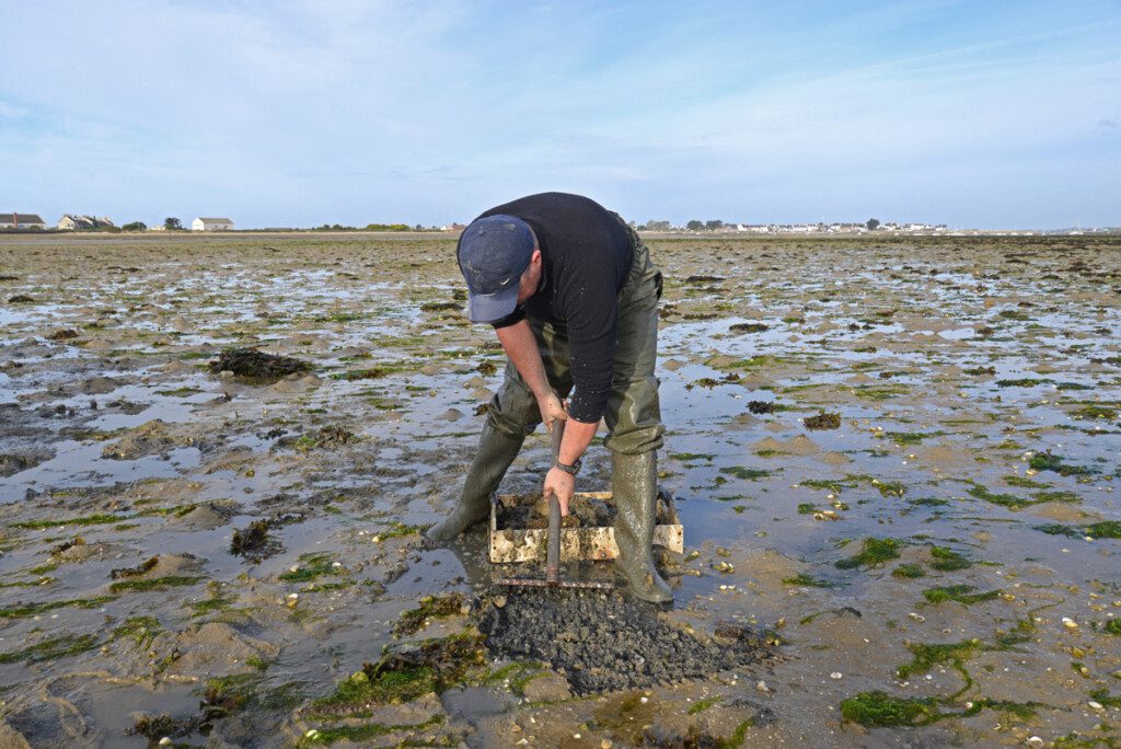 Pêcheur à pied