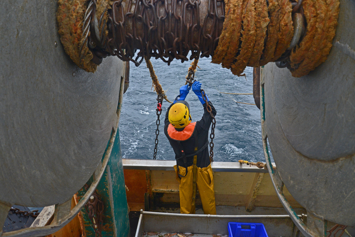 Image for Licence chalut mer d’Iroise