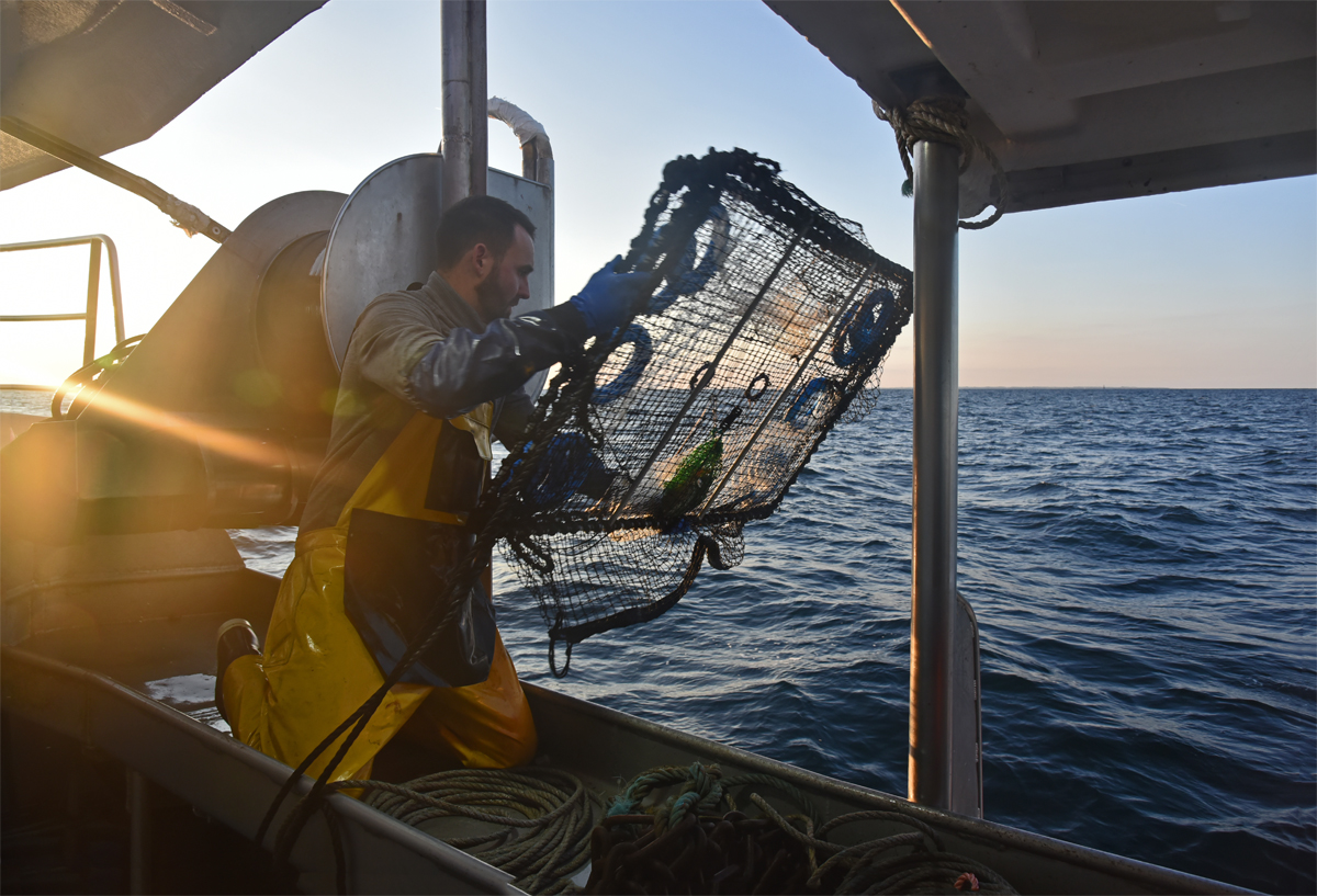 Image for Demander une licence de pêche embarquée