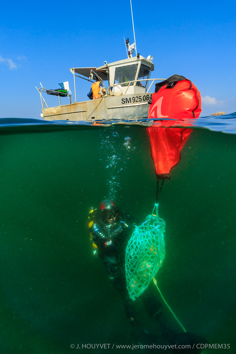 Image for M’installer comme pêcheur en plongée