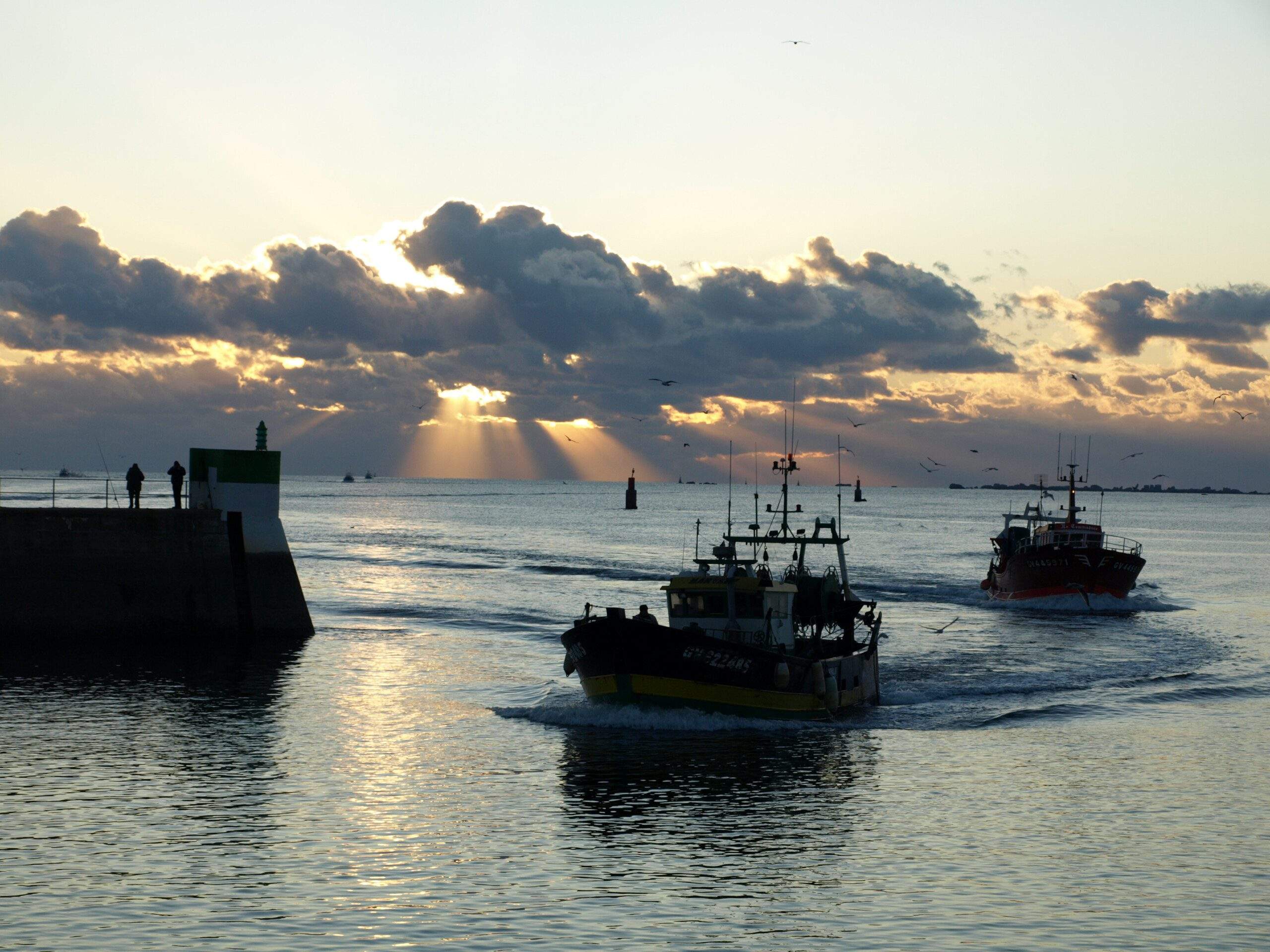 Port du Guilvinec-LECERF-CRPMEM
