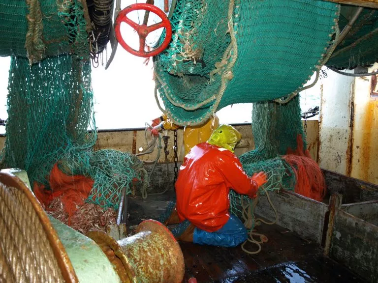 Image for Améliorer la sécurité de mes marins et prévenir les risques professionnels