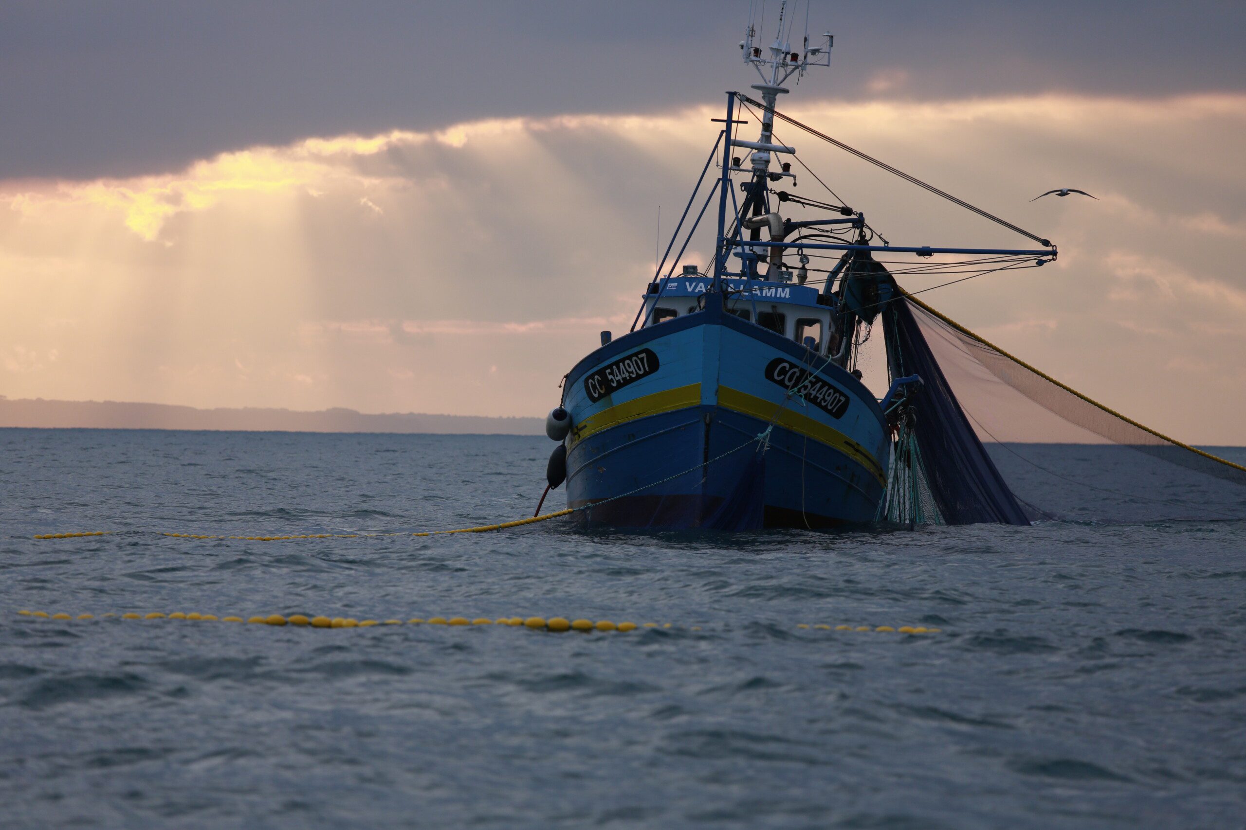 Image for Licence bolinche au sud du 48°30’