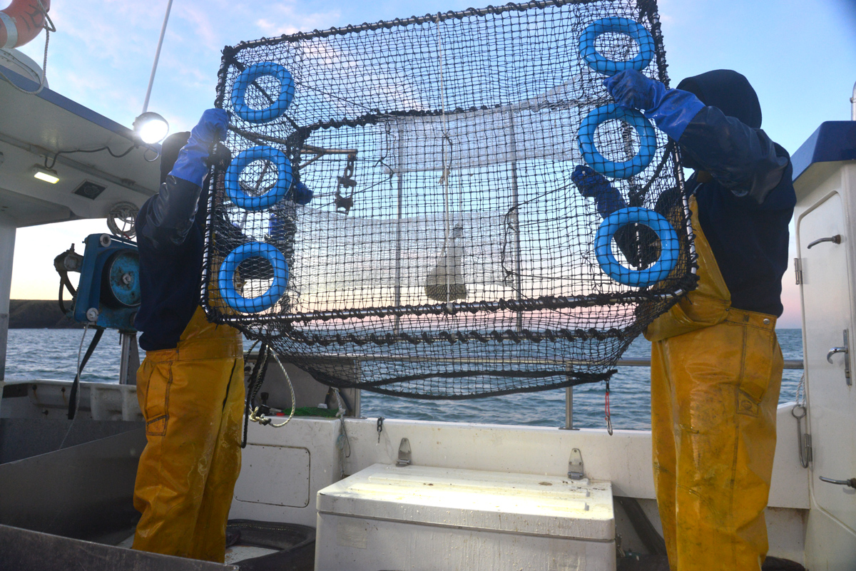 Installer une Nasse à Poisson au Bassin