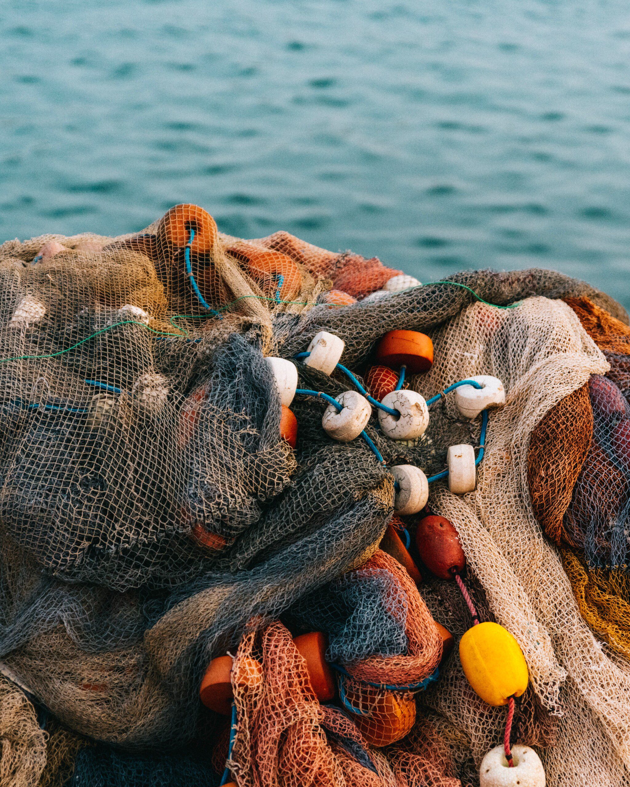 Une licence « nasse à poisson » en Bretagne