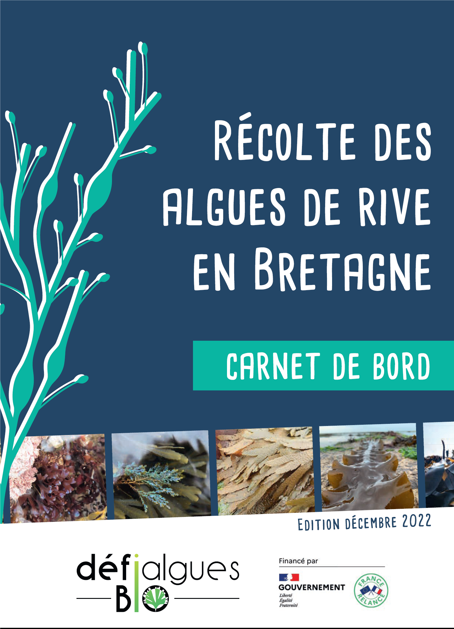 Image for Algues de rive: Mise en ligne des résultats des programmes Agrid et Défi Algues Bio