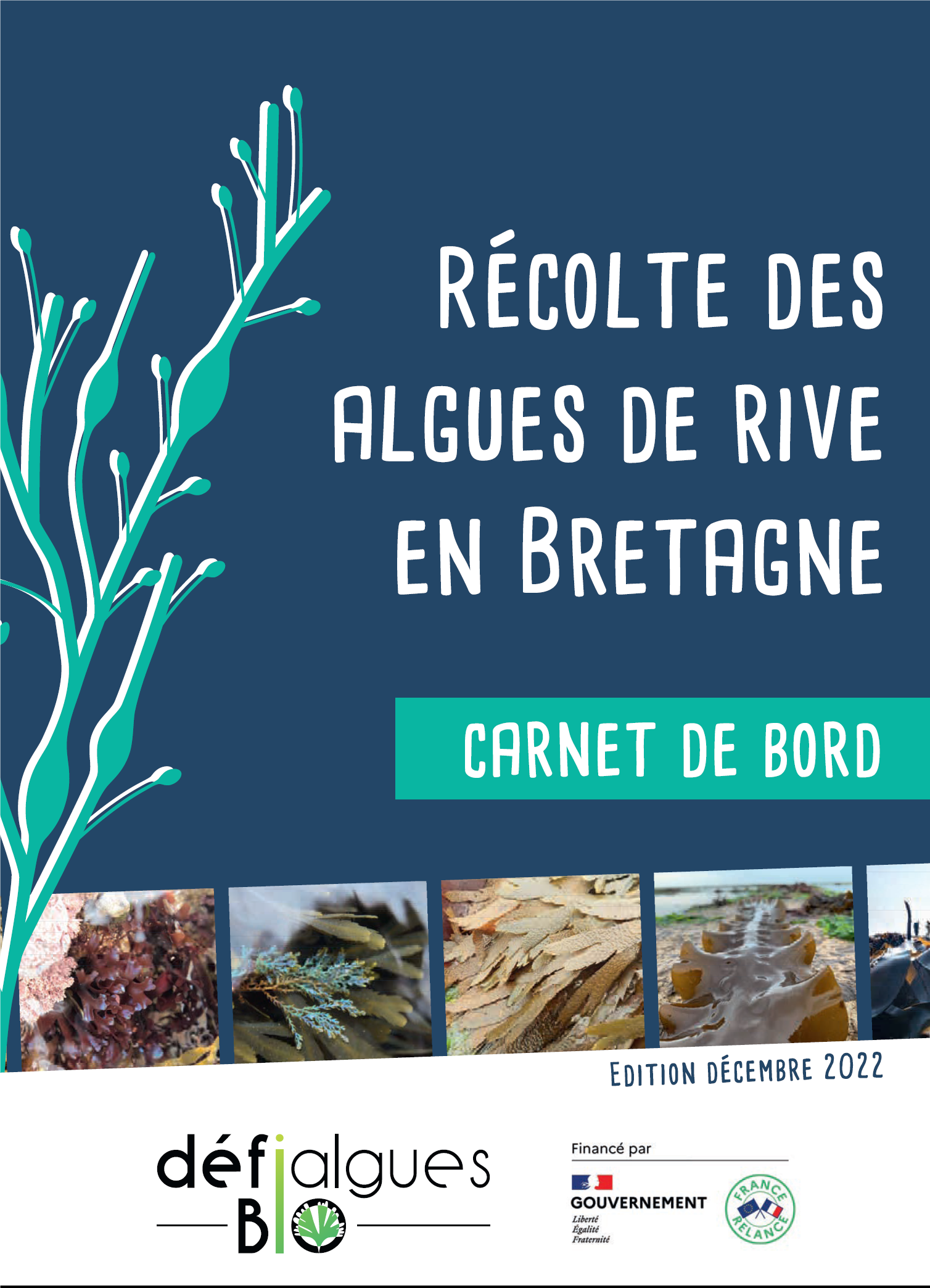 carnet-de-bord-recolte-algues-de-rives-2022-1 Image for Algues de rive: Mise en ligne des résultats des programmes Agrid et Défi Algues Bio