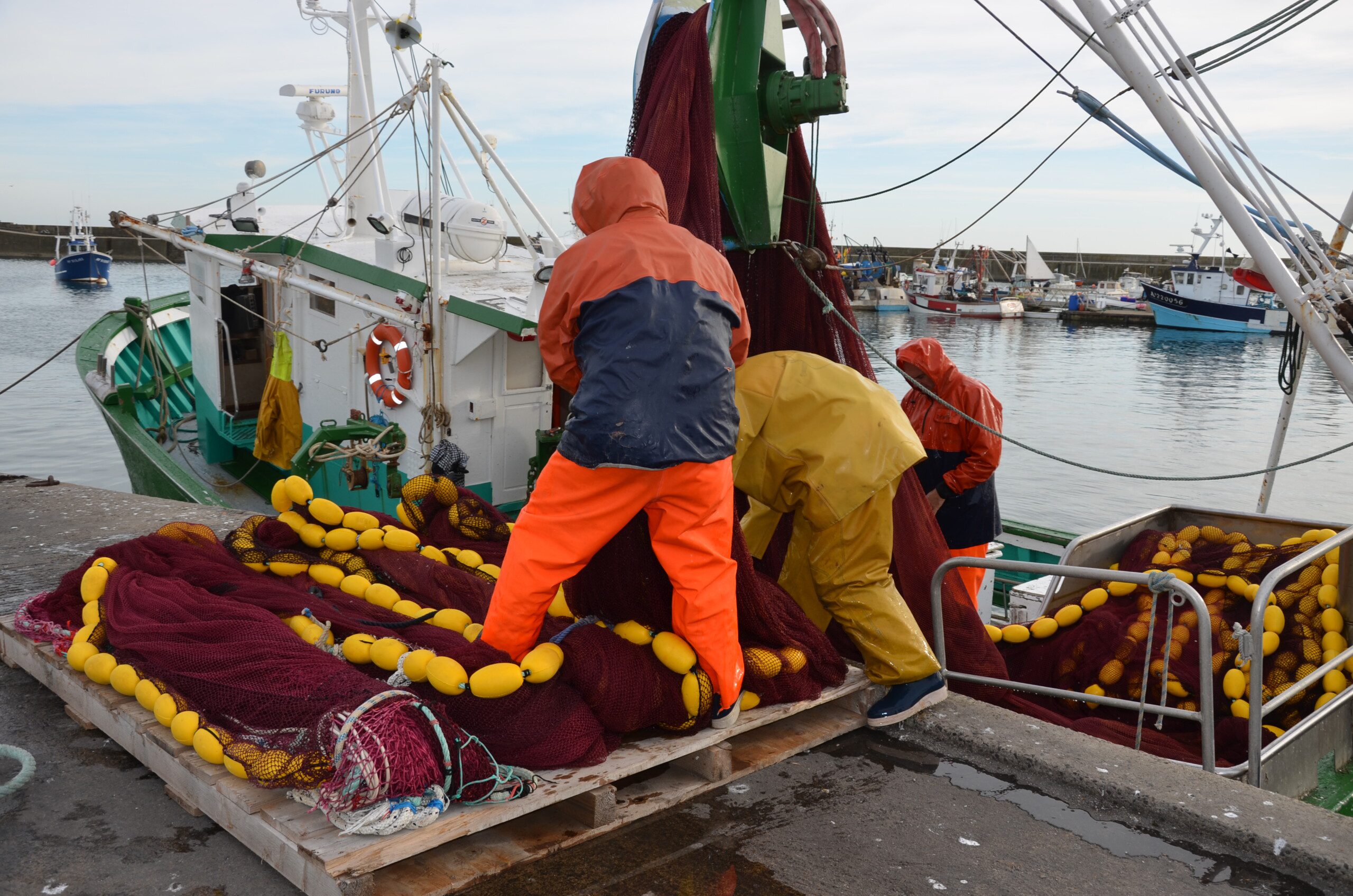 Image for Quotas 2026 : alerte des comités des pêches bretons