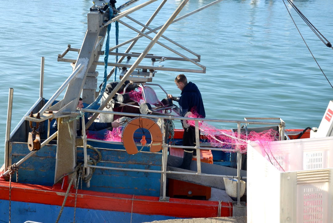 Image for Fermeture du Golfe de Gascogne : sortir de l&rsquo;impasse