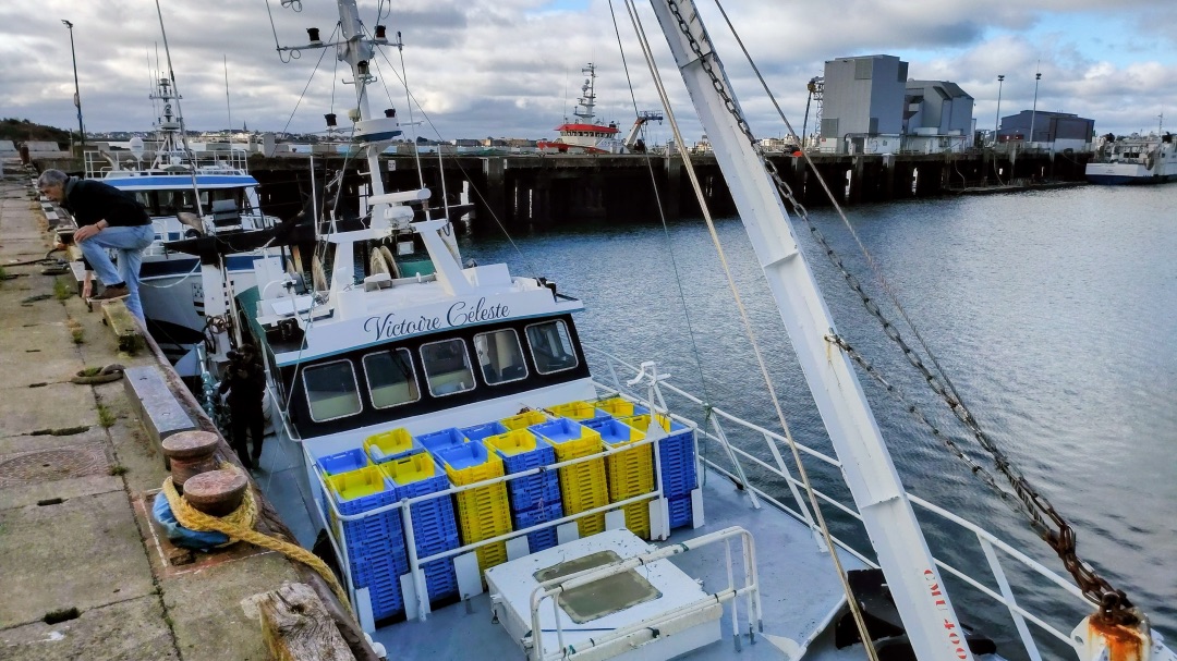 Image for Gasoil : des bateaux de pêche bretons à l&rsquo;arrêt