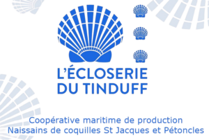 logo partenaire