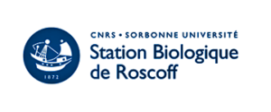 logo partenaire